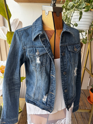 Jean Jacket embroidery - Size Small