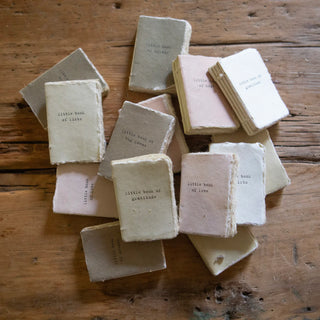 Deckled Edge Little Book