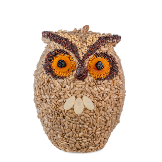 Whoo-lio the Owl Bird Feeder