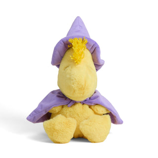 Woodstock Wizard Halloween Warmies