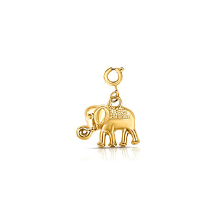 Gold Charms for Necklaces/Bracelets