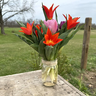 Still Life (Flower) Painting Class - April 7th, 2024