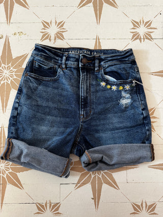AE Shorts hand embroidered - Size 2