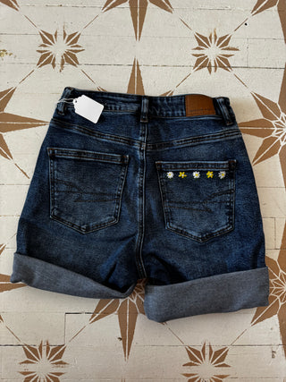 AE Shorts hand embroidered - Size 2