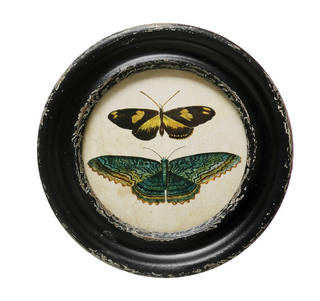 Butterfly/Moth Vintage Frames