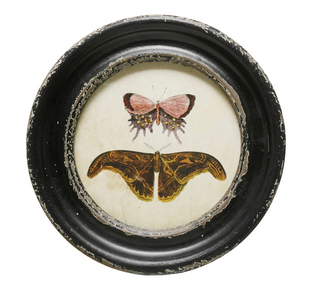 Butterfly/Moth Vintage Frames