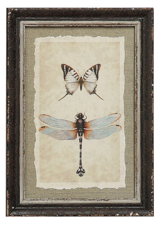 Butterfly/Insect Print - 4 Styles