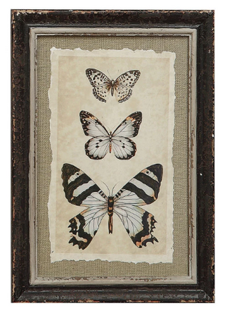 Butterfly/Insect Print - 4 Styles