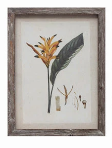 Wood Framed Glass Wall Décor with Insects, Birds, Plants and Fruit - 12 Styles