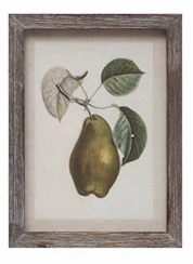 Wood Framed Glass Wall Décor with Insects, Birds, Plants and Fruit - 12 Styles