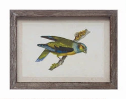 Wood Framed Glass Wall Décor with Insects, Birds, Plants and Fruit - 12 Styles