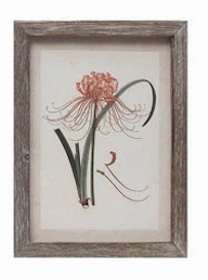 Wood Framed Glass Wall Décor with Insects, Birds, Plants and Fruit - 12 Styles