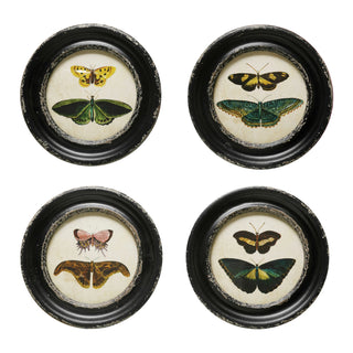 Butterfly/Moth Vintage Frames