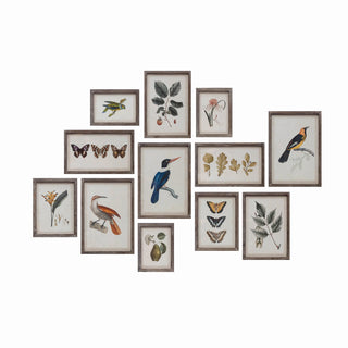 Wood Framed Glass Wall Décor with Insects, Birds, Plants and Fruit - 12 Styles