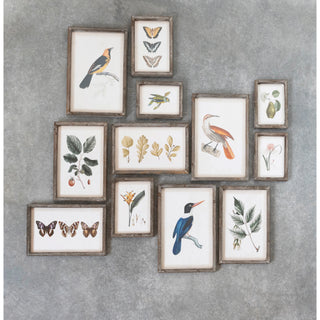Wood Framed Glass Wall Décor with Insects, Birds, Plants and Fruit - 12 Styles